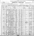 1900 Census, Mount Carmel, Virginia
