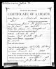 Death Certificate-John Fletcher Williamson