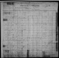 1900 Red Bank, Virgilina, Halifax County, Virginia Census