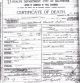 Death Certificate-Hannah Elizabeth Wilmer (nee Megredy)