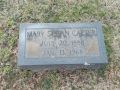 Mary Susan Carter (I7633)