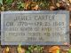 Rainey Cemetery  James M. Carter Headstone