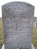 Headstone
J. Sidney Wells
b 5 Jul 1856
d 19 Jan 1928