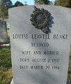 Lucy Louise Leavell Blake