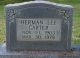 Headstone Herman Lee Carter