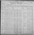 1900 Fulton Township Census (King Family)