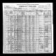 1900 Pittsylvania County, Virginia census for the Michael Fox family