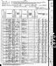 1880 Census Caswell Co., North Carolina Green Carter Family Note Powell Granddaughter age 5