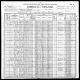 Census 1900 Franklin Co., Virginia John H. Palmer-Belle