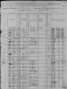 1880 Census, Danville, Virginia  (Moses Green and family)