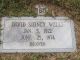 Headstone David Sidney Wells