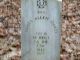 Headstone of James Allen Oakes