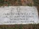 Headstone for Jabe Peter Wells, Jr.